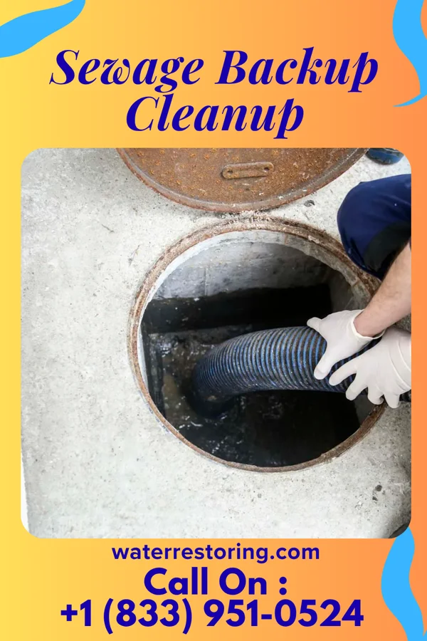 Sewage Backup Cleanup in Albertville, AL